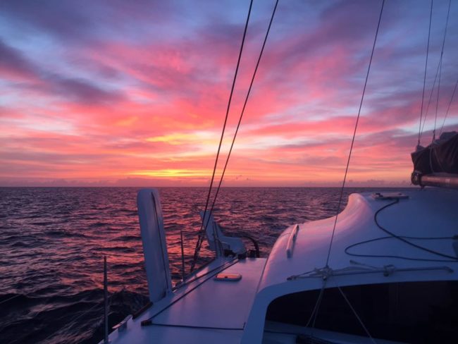 18275017_1205261699619202_4515452259775941557_n